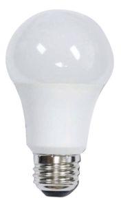 12 W LED Bulb