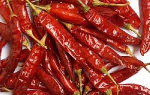 Dry Red Chillies Pepper