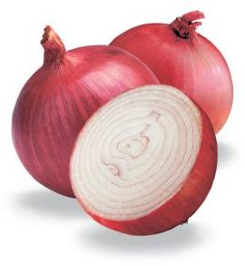 Fresh Onion