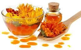 Calendula Oil