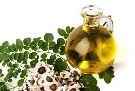 Moringa oil