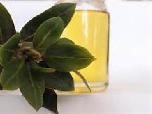 Myrtle Oil