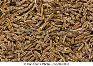 Cumin Seed