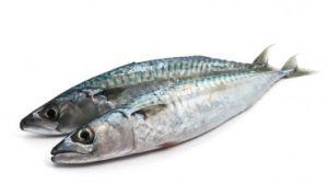 Sardines Fish