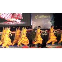 Bharatanatyam Costume