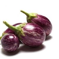 Fresh Brinjal