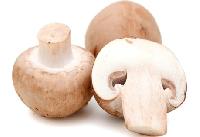 Fresh Mushroom