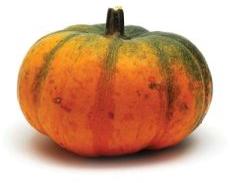 fresh Pumpkin