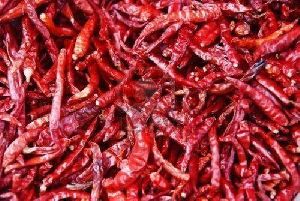 S-10 Dried Red Chilli