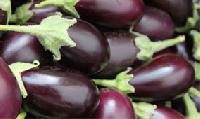 Brinjal