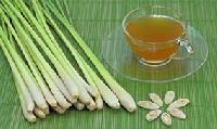 Lemon Grass