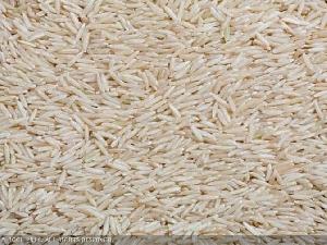 Economy Basmati Rice
