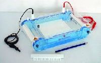 electrophoresis equipment