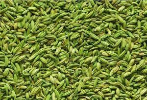 Fennel Seeds