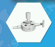 Double Block Valves