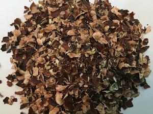 Cashew Nut Husk