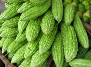 Fresh Bittergourd