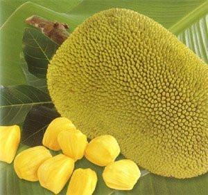 Fresh Jackfruit