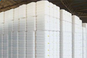 Fully Pressed Cotton Bales
