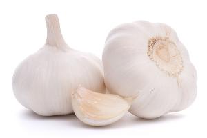 Fresh Garlic