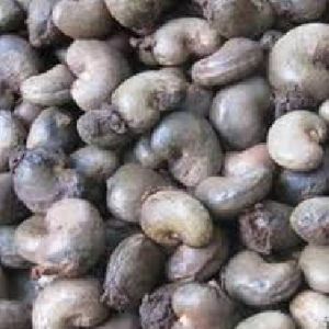 Raw Cashew Nuts