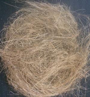 Coconut Coir Fiber