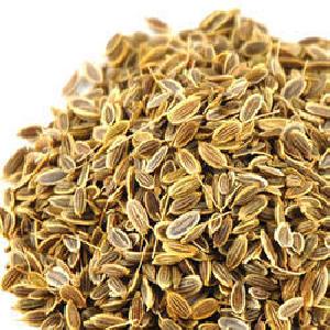 Dill Seeds