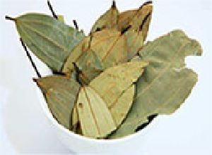 Bay Leaf