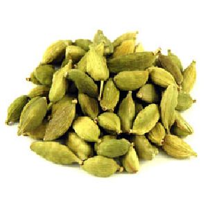 Cardamom