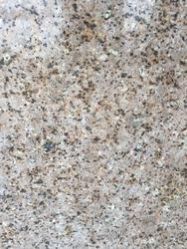 Gold Granite Slab