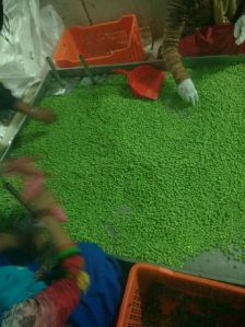 Frozen Green Peas