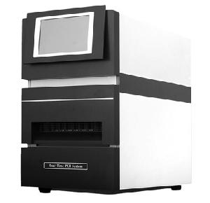 Real-time Quantitative PCR