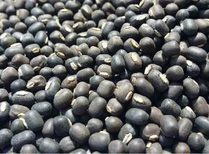 Black Urad Dal