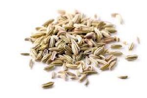 Fennel Seeds