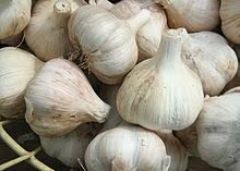 Fresh Garlic