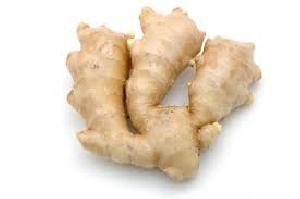 Fresh Ginger