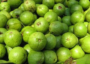 Fresh Guava