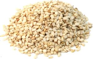 Sesame Seeds