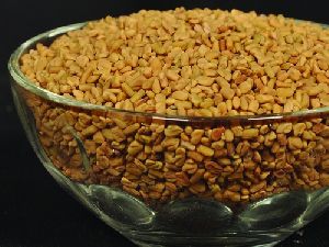 Fenugreek Seeds