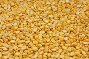 Mung Yellow Lentil