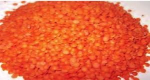 Red Lentil (Masur Dal)