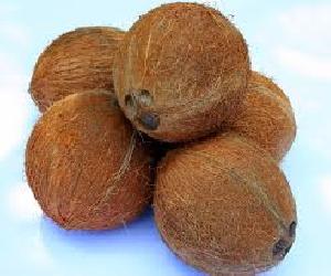 Organic Coconut