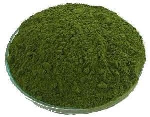 Moringa Drumstick Powder