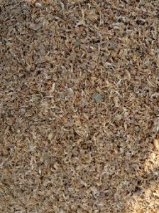 DRY FISH MEAL(WHOLE AND DUST)
