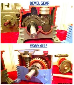 Bevel vs Worm Gear Box