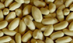 BLANCHED (WHOLE) BOLD PEANUTS