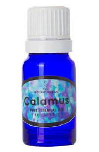 Acorus Calamus Oil