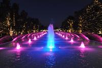 Fountain Lights