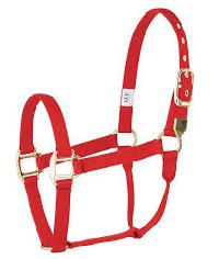 Nylon Halters