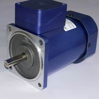 A C induction Motor